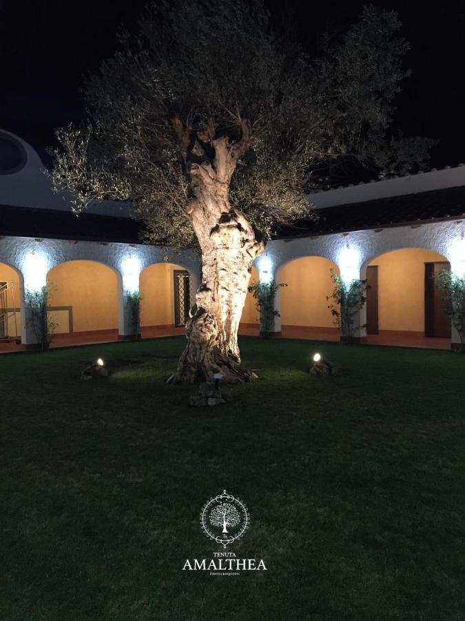 Tenuta Amalthea Villa เซสซาอูรุนกา ภายนอก รูปภาพ