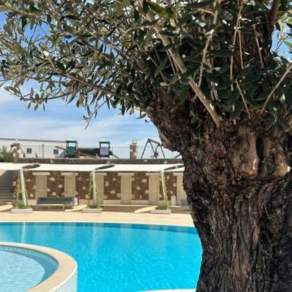 Tenuta Amalthea Villa เซสซาอูรุนกา ภายนอก รูปภาพ